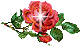 La rose d'amour 267112